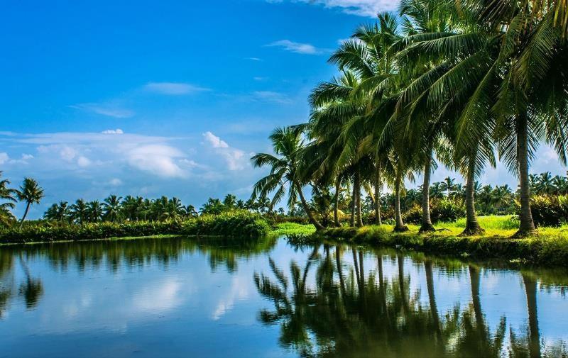 Sea Breeze Beach Home Alappuzha Exterior foto